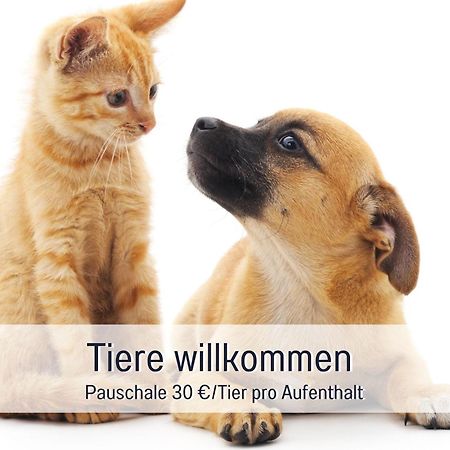 Penthouse - 3 Schlafzimmer- Sonnige Dachterrasse -Whirlpool & Alpenblick - Perfekt Fuer Romantik Oder Familienurlaub Mit Kind, Hund Willkommen - By Ferienwohnenamsee - อูเบอร์ลิงเงน ภายนอก รูปภาพ