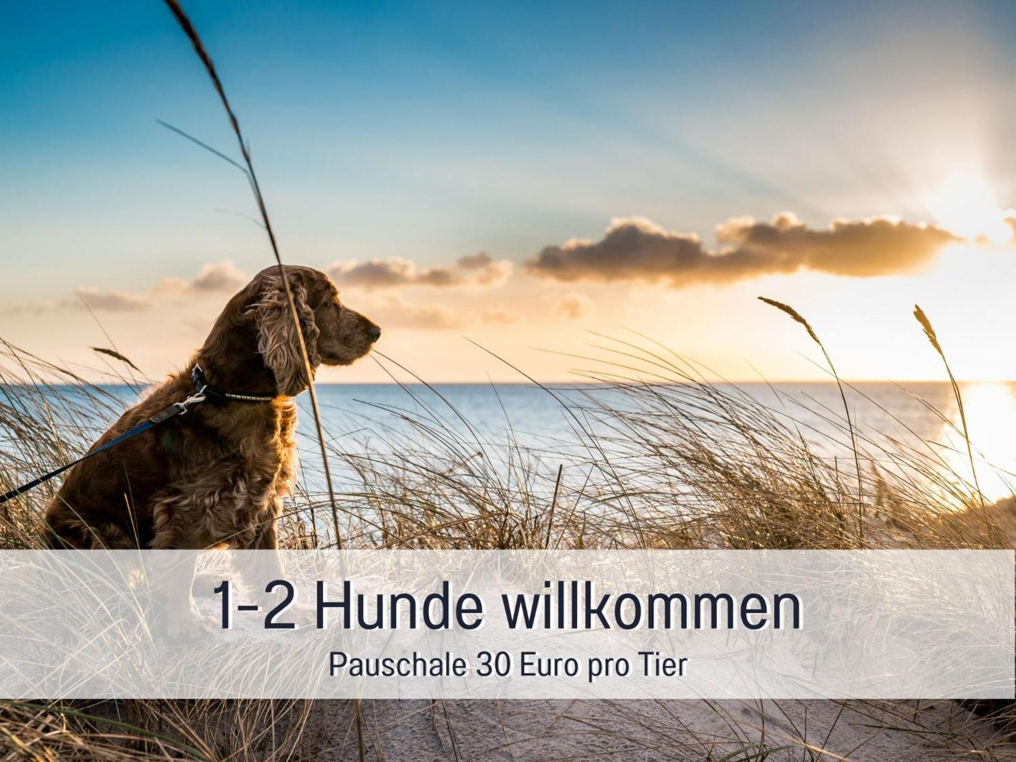 Penthouse - 3 Schlafzimmer- Sonnige Dachterrasse -Whirlpool & Alpenblick - Perfekt Fuer Romantik Oder Familienurlaub Mit Kind, Hund Willkommen - By Ferienwohnenamsee - อูเบอร์ลิงเงน ภายนอก รูปภาพ