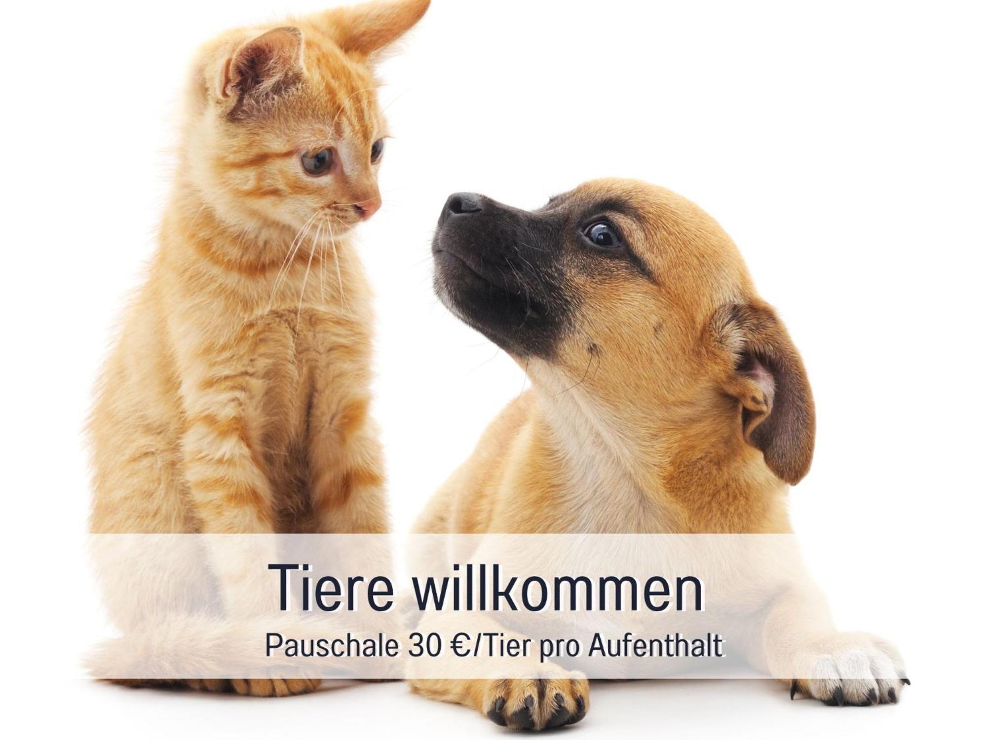 Penthouse - 3 Schlafzimmer- Sonnige Dachterrasse -Whirlpool & Alpenblick - Perfekt Fuer Romantik Oder Familienurlaub Mit Kind, Hund Willkommen - By Ferienwohnenamsee - อูเบอร์ลิงเงน ภายนอก รูปภาพ